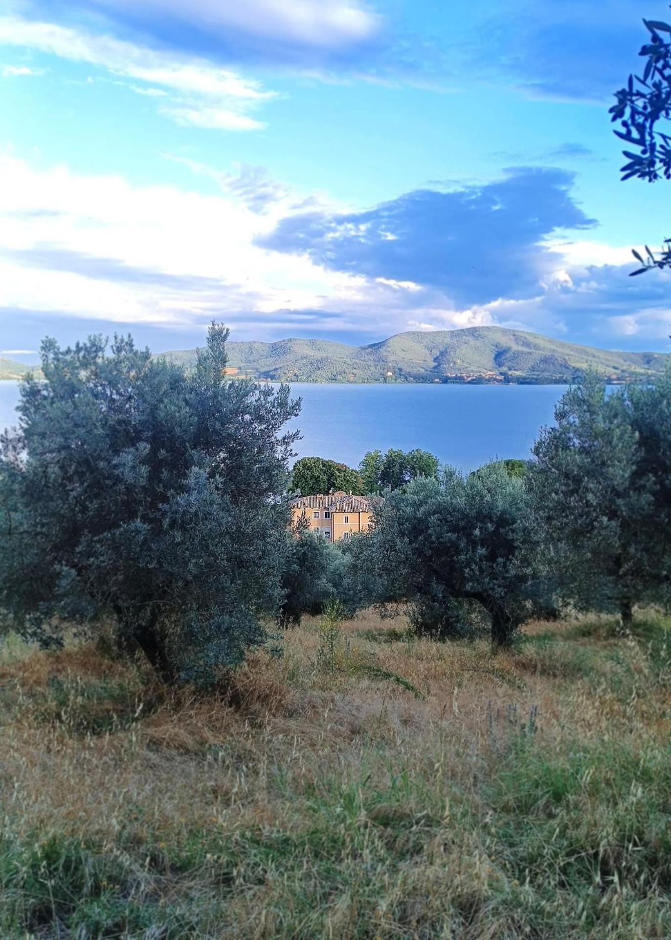 Isola Polvese Resort كاستيغليون ديل لاغو المظهر الخارجي الصورة